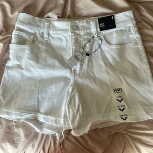 Express Shortie Mid Rise Shorts
